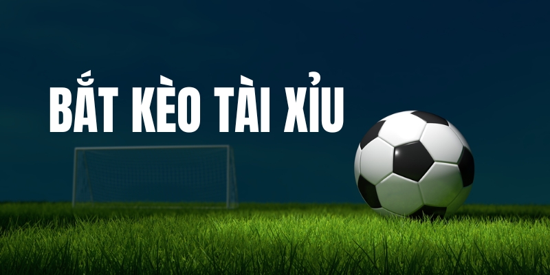 Bắt kèo tài xỉu có nghĩa là gì?