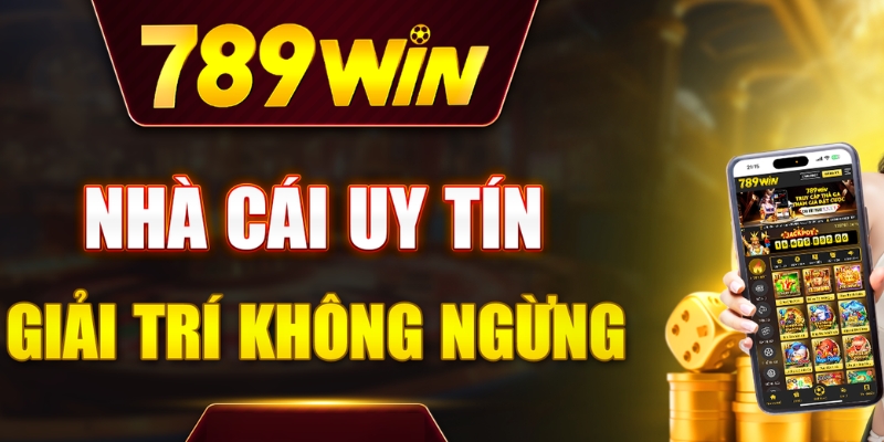 Giới thiệu tổng quan về nhà cái 789Win