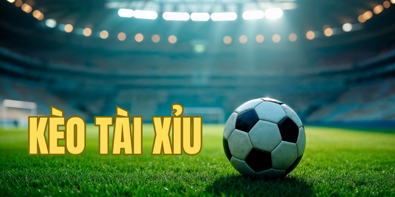 Tìm hiểu khái niệm kèo tài xỉu là gì?
