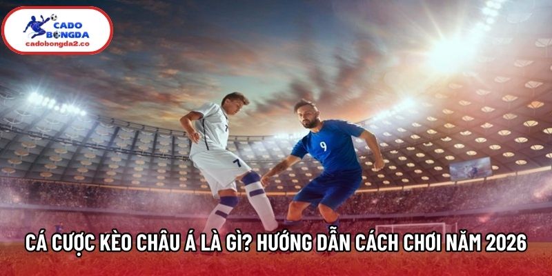Cá Cược Kèo Châu Á Là Gì? Hướng Dẫn Cách Chơi Năm 2026