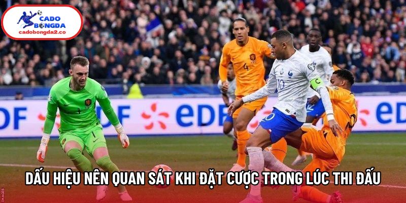 Các dấu hiệu nên quan sát khi đặt cược trong lúc thi đấu