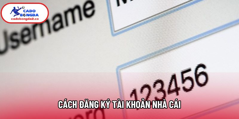 Cách Đăng Ký Tài Khoản Nhà Cái Và Những Điểm Cần Biết