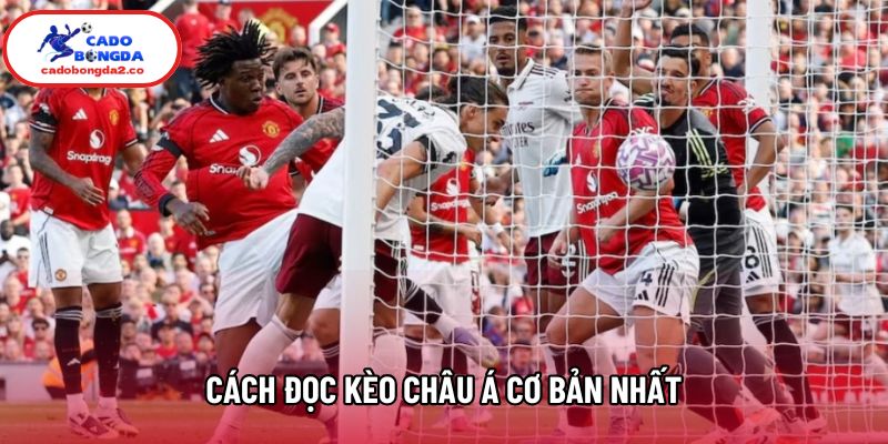 Cách đọc kèo châu Á cơ bản nhất Cách đọc kèo châu Á cơ bản nhất