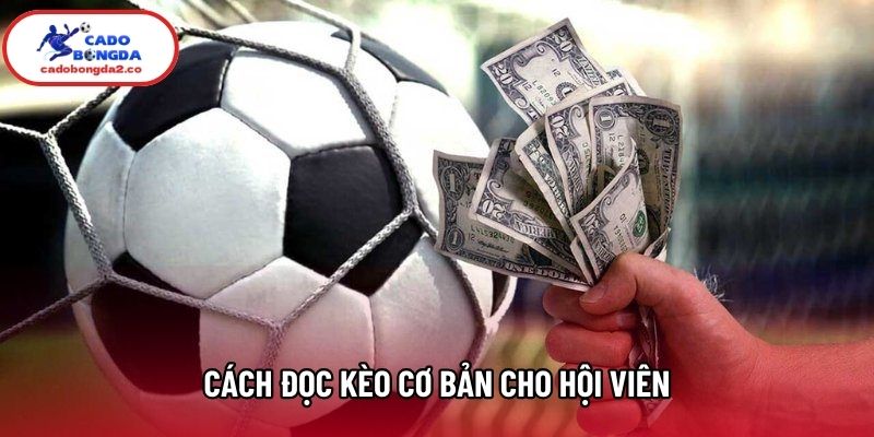 Cách đọc kèo cơ bản cho hội viên Cách đọc kèo cơ bản cho hội viên