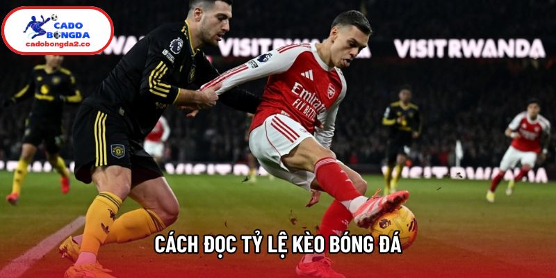 Cách Đọc Tỷ Lệ Kèo Bóng Đá Chuẩn Xác: Bí Quyết Soi Kèo Mới