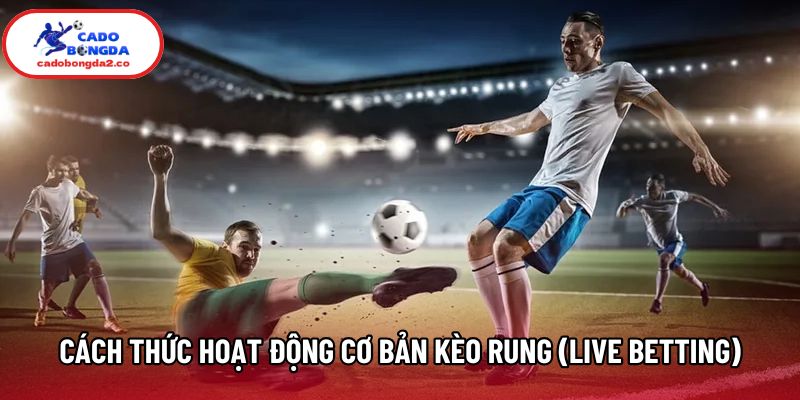 Cách thức hoạt động cơ bản của kèo rung (Live betting)