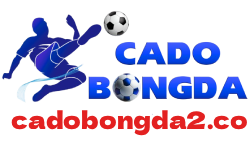 cadobongda2.co