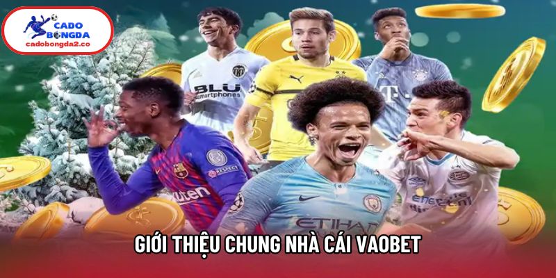 Giới thiệu chung nhà cái Vaobet