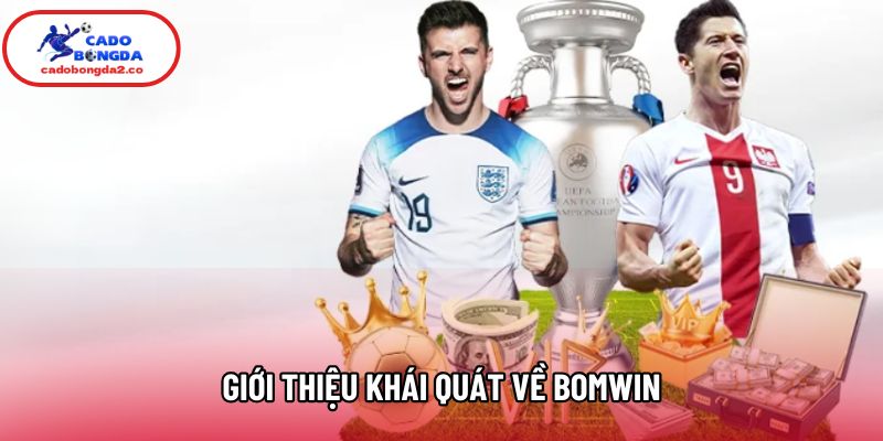 Giới thiệu khái quát về Bomwin