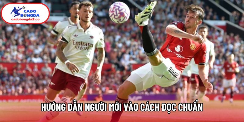 Hướng dẫn người mới vào cách đọc chuẩn