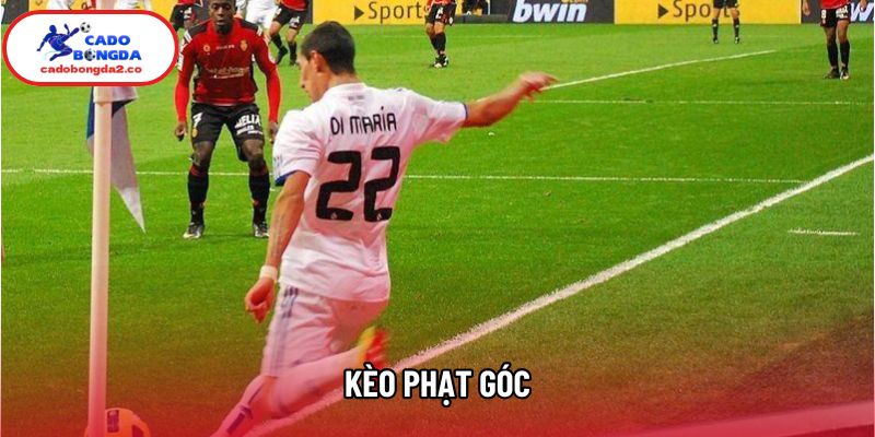 Kèo Phạt Góc Cách Khai Thác Nhịp Trận Để Tạo Lợi Thế Dài Hạn