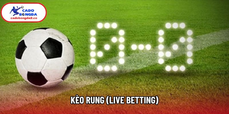 Kèo Rung (Live Betting) Bí Quyết Đọc Kèo Vô Cùng Chuẩn Xác
