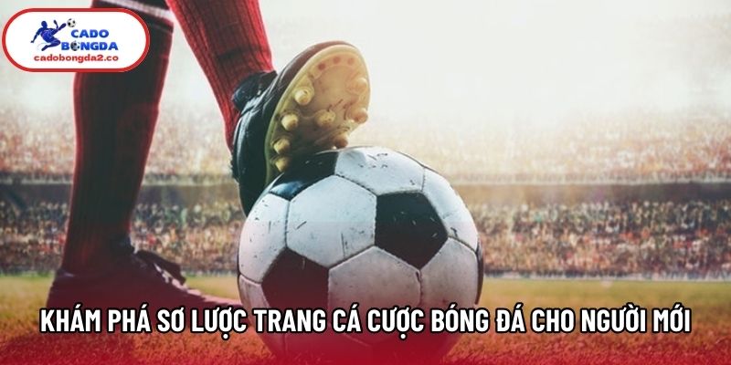 Khám phá sơ lược trang cá cược bóng đá cho người mới Khám phá sơ lược trang cá cược bóng đá cho người mới