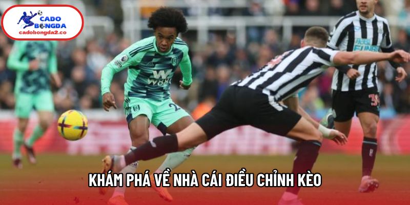 Khám phá về nhà cái điều chỉnh kèo