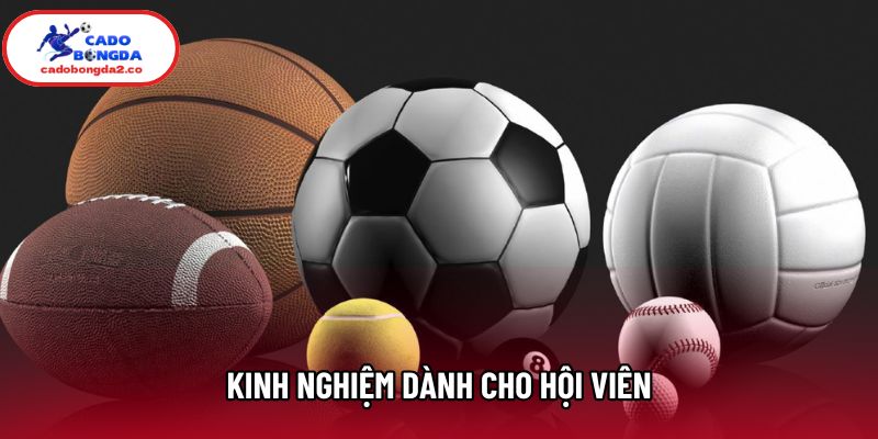 Kinh nghiệm dành cho hội viên
