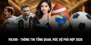 Max88 - Thông Tin Tổng Quan, Mức Độ Phù Hợp Cho Bạn 2026