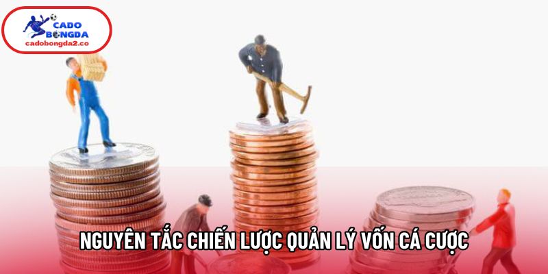 Nguyên tắc chiến lược quản lý vốn cá cược