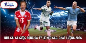Nhà cái cá cược bóng đá tỷ lệ kèo cao, chất lượng nhất 2026