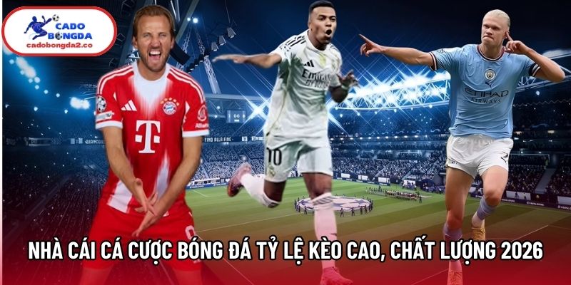 Nhà cái cá cược bóng đá tỷ lệ kèo cao, chất lượng nhất 2026