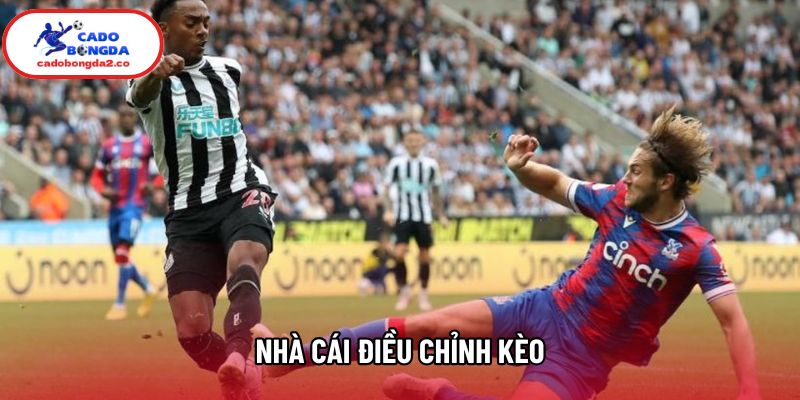Nhà Cái Điều Chỉnh Kèo Như Thế Nào? Bí Mật  Sau Những Con Số 