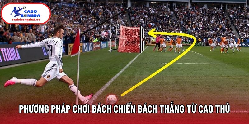 Phương pháp chơi kèo bách chiến bách thắng từ cao thủ