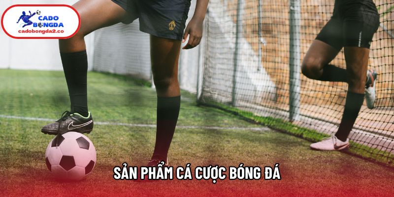 Sản phẩm cá cược bóng đá