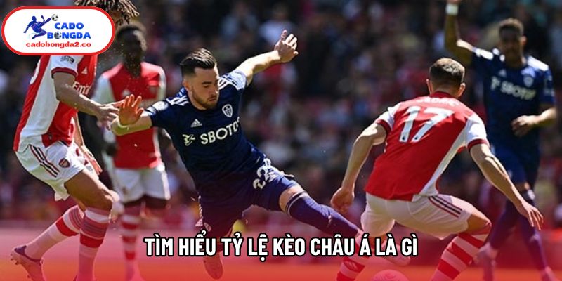 Tìm hiểu tỷ lệ kèo châu Á là gì Tìm hiểu tỷ lệ kèo châu Á là gì