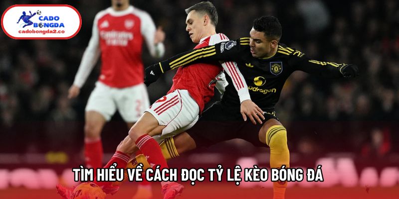 Tìm hiểu về cách đọc tỷ lệ kèo bóng đá 