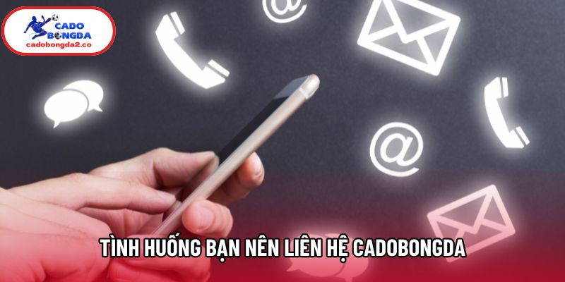 Tình huống bạn nên liên hệ Cadobongda Tình huống bạn nên liên hệ Cadobongda
