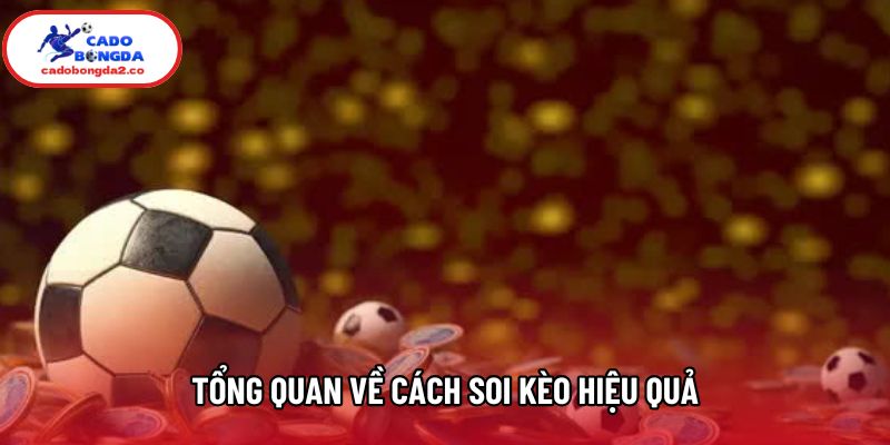 Tổng quan về cách soi kèo hiệu quả