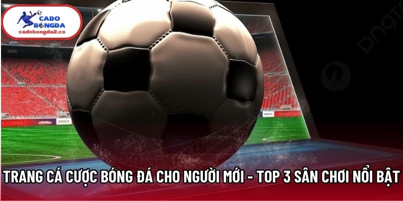 Trang Cá Cược Bóng Đá Cho Người Mới - Top 3 Sân Chơi Nổi Bật