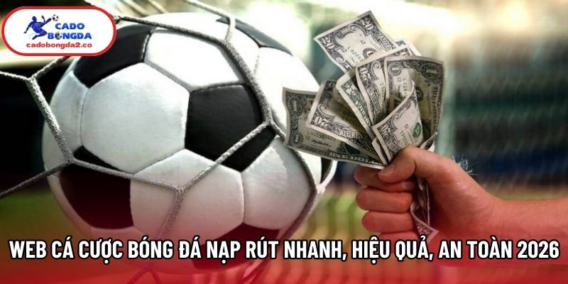 Web Cá Cược Bóng Đá Nạp Rút Nhanh, Hiệu Quả Và An Toàn 2026