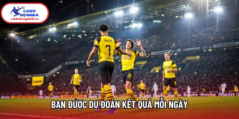 Bạn được dự đoán kết quả mỗi ngày