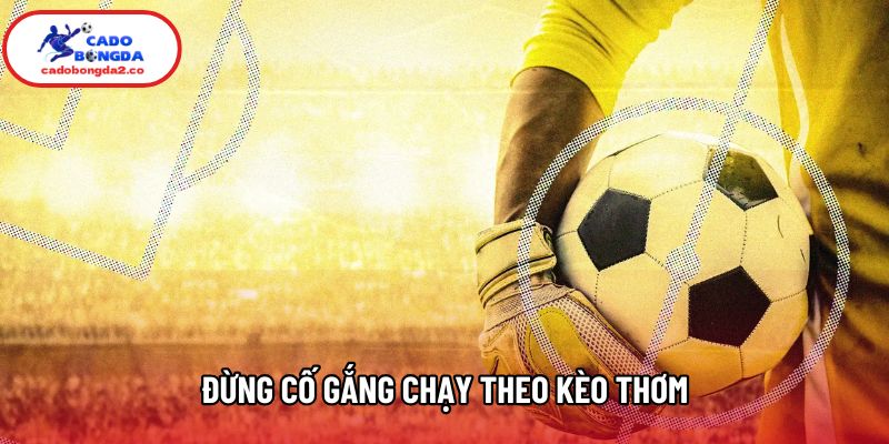 Đừng cố gắng chạy theo kèo thơm