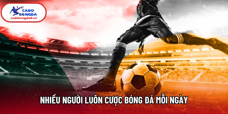Nhiều người luôn cược bóng đá mỗi ngày